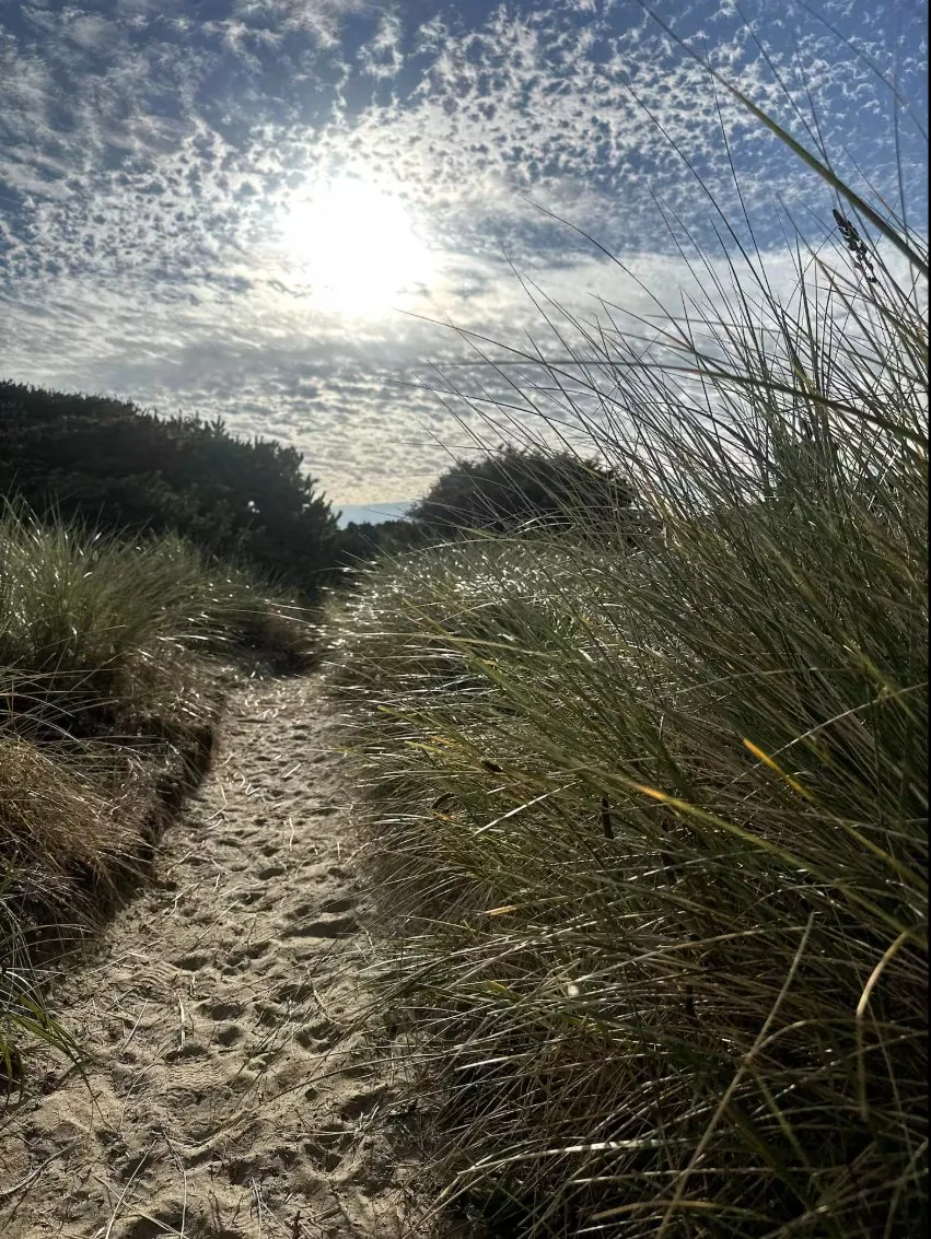Sandy path through beach grass toward the ocean