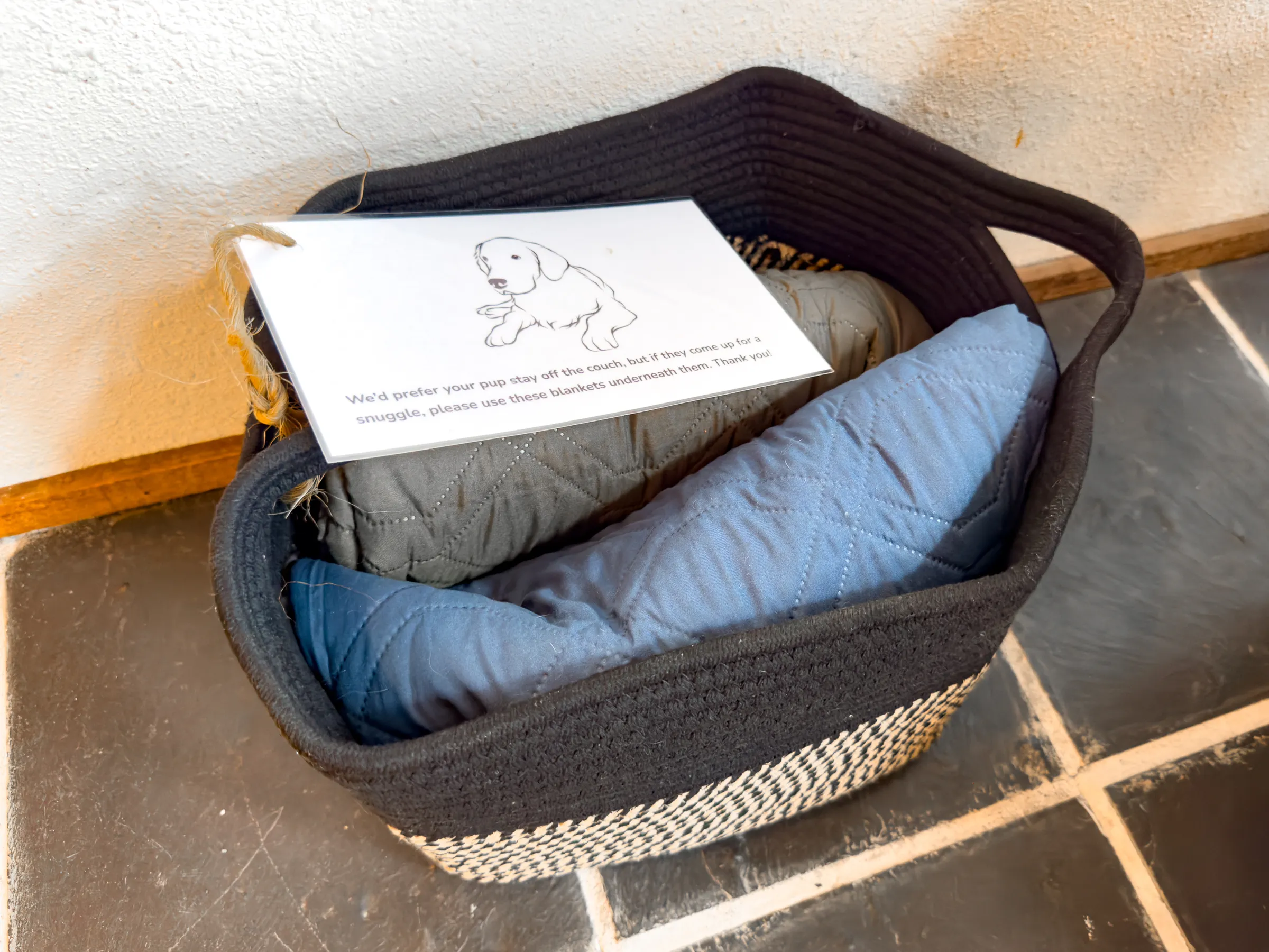 Dog welcome basket with blankets